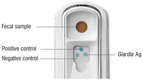idexx 4dx snap test|idexx giardia snap test instructions.